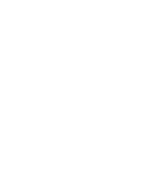 303 Litho